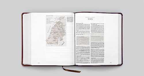 ESV Journaling Study Bible (TruTone, Brown/Chestnut, Timeless Design) - Binkii 