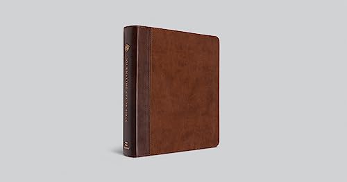 ESV Journaling Study Bible (TruTone, Brown/Chestnut, Timeless Design) - Binkii 