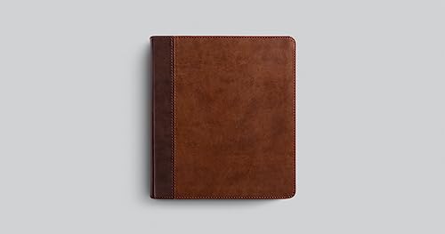 ESV Journaling Study Bible (TruTone, Brown/Chestnut, Timeless Design) - Binkii 