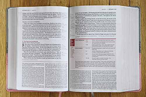 NIV, Life Application Study Bible, Third Edition, Large Print, Leathersoft, Gray/Pink, Red Letter - Binkii 