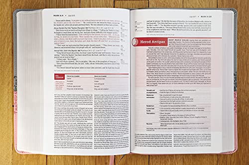 NIV, Life Application Study Bible, Third Edition, Leathersoft, Gray/Pink, Red Letter - Binkii 