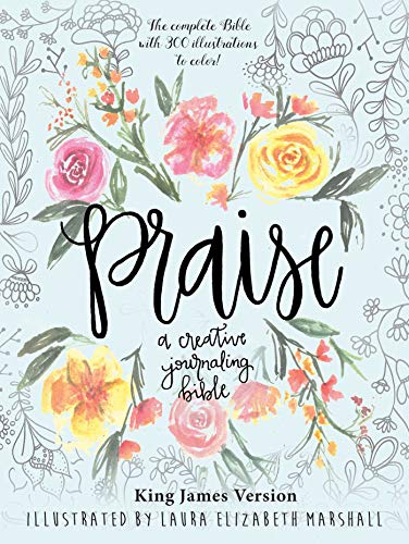 Praise: A Creative Journaling Bible - Binkii 